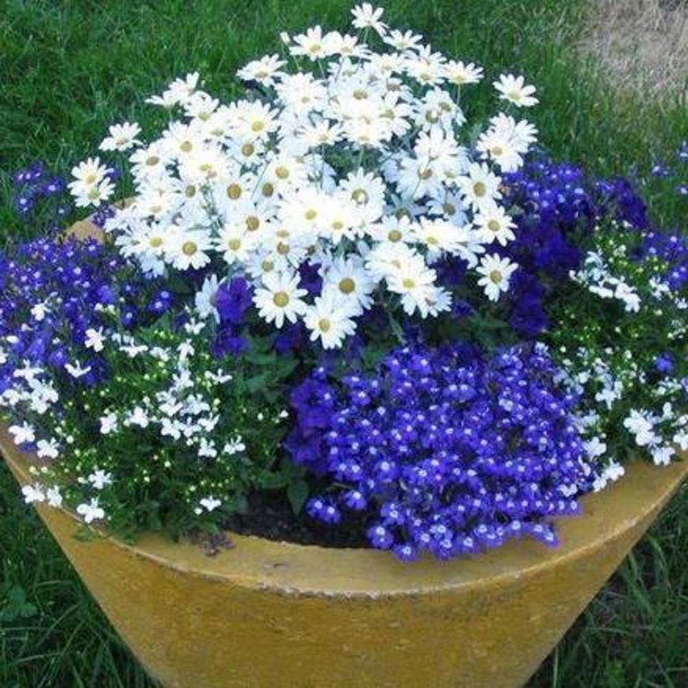 Meet your Posher, Jemma